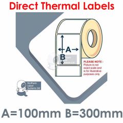100mm x 300mm Direct Thermal Labels Zebra ZT111